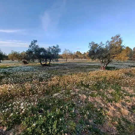 1natura Casa vacanze