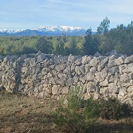 1natura Avinyonet de Puigventós